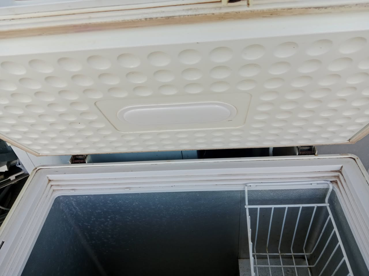 السلام عليكم مجمده 9قدم نوع الونسا شغاله ابلاديه غاز وماطور ابلادي للبيع 95 الف كله شارع 80 تلفون ***********
