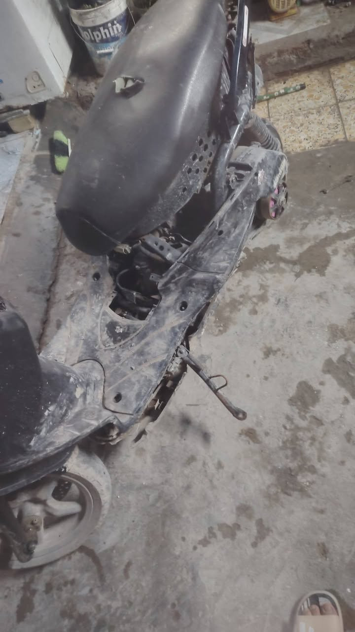 سكنس فحل نوزل البيع سعر 225 دراجه متروكه وكلشي مابيه مكينه مكفوله تخبل ناعمه ***********
