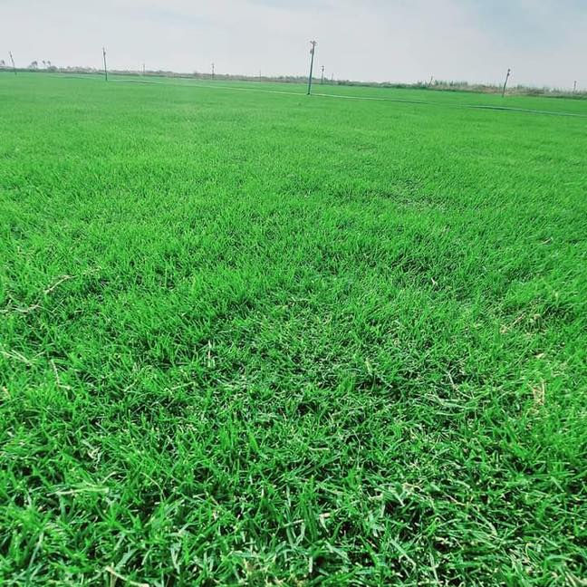 🌱✨ تخفيضات لفترة محدودة ✨🌱

وفرنا لكم ثيل طبيعي (هندي – إيطالي – فرنسي) بجودة عالية وسعر تنافسي، إنتاج خاص من مزارعنا ✅

📌 المميزات:

نوعية ممتازة ومثالية

مناسب للمنازل، الحدائق، الملاعب، الدوائر، وتجهيز المشاتل

أسعار مميزة وتختلف حسب الكميات الكبيرة

خدمة توصيل لجميع محافظات العراق

🚚 التوصيل مجاني

📞 للطلب والاستفسار:
*********** 
***********
