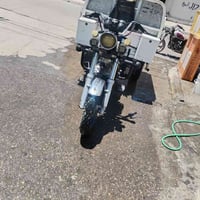 ستوتة ام الطير • ستوتة 2023 • ستوته فحل • ستوته نظيفة • ستوتة اوراق كا...