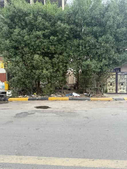 🏡 فرصة لا تعوّض – قطعة أرض تجارية للبيع في الحرية الزراعي / شارع السوداني 🏡
📏 المساحة: 150 متر

📐 الواجهة: 7.5 متر

📏 النزال: 20 متر

📍 الموقع: بغداد – الحرية الزراعي، شارع السوداني

🚗 عرض الشارع: 20 متر

💰 سعر المتر: 1,250,000 دينار

💵 السعر الكلي: 187,500,000 دينار فقط

✨ مميزات الأرض:

• موقع تجاري مميز جداً ومناسب للاستثمار

• جميع الأوراق أصولية ورسمية 100%

• ضمانات قوية:

 • مكاتبة وتعهد خطي رسمي

 • في حال أي تعرض من أي جهة يتم استرداد ضعف المبلغ المدفوع

 • بصمة وختم مكتب مسجل بعمليات بغداد

 • المكتب مجاز رسمياً من عمليات بغداد

 • إقرار محكمة مع صاحب الدونم الرسمي

📞 مكتب الأمين للعقار –

📲 ***********
