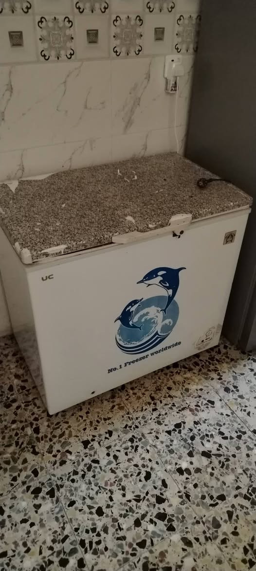 سلام عليكم اغراض نظيفه جدا للبيع المجمده سعرها 100 طباخ 75 وبي مجال العربانه 30 سعرها للاستفسار على الخاص


**إذا كنت صاحب هذا الإعلان وتريد حذفه لأي سبب، رجاءا أرسل رسالة إلى الدعم الفني**