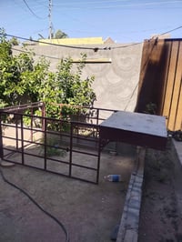 محجل • ستوته