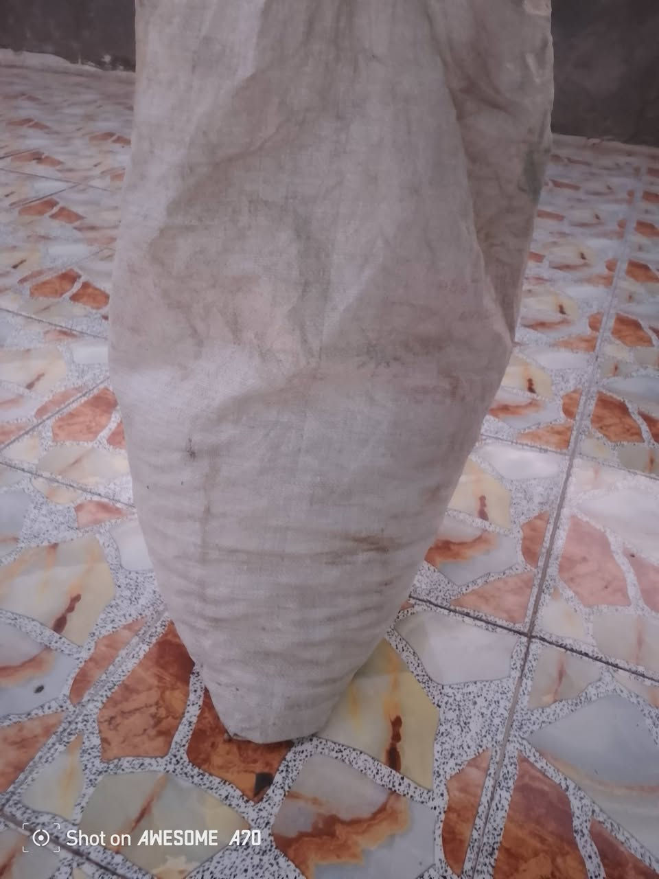 سلام عليكم  3 ارباع كونييه تمر حلو نضيف   بثواب.   الي يريدهن خل يتصل *********** مكانهن بابل
