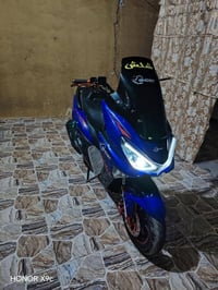 شبح 2024 • قليلة المشي • بابل القاسم