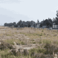 العثمانية • ٥ دونم • طابو سند