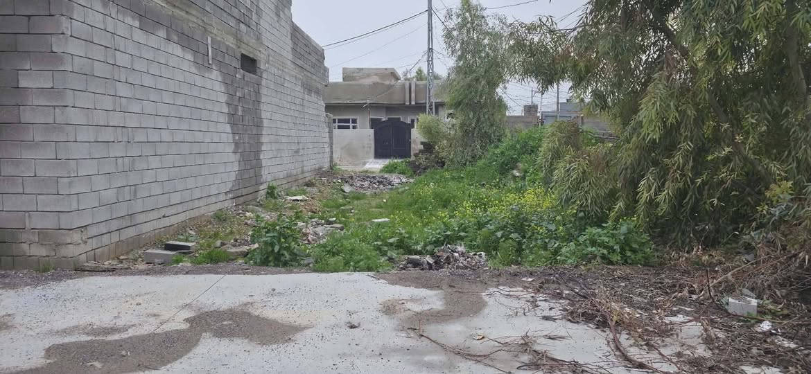 قطعة ارض 161 متر بالملايين الثانية بعد القنطرة صايرة اخر قطعه عالبستان ع شارعين واجهه 11 والاخرى 8 وعمق 16 قريبة على جامع ضيوف الرحمن بستان ملك صرف وبيها كارت بلديه السعر 40 مليون وبيها مجال 
هاتف ***********
