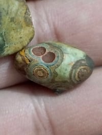 نوادر • الداوودي • المهبهب النازف