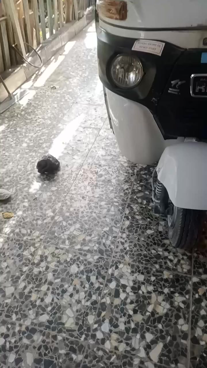 سلام عليكم عندي هاهيه تكتك موديل 21 رقم وسنويه رقم  انكليزي مكان مدينه الصدر ام الكبر والغزلان تكتك بسمي السعر الخاص ‏‪ 770 406 5480


**إذا كنت صاحب هذا الإعلان وتريد حذفه لأي سبب، رجاءا أرسل رسالة إلى الدعم الفني**