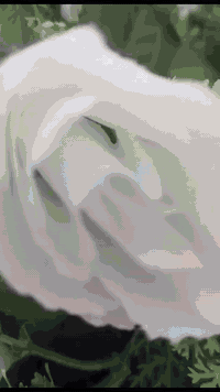 كما عودناكم دائما وابدا نحن الاول اجمل تزيينات سيارات الاعراس وحفلات التخرج 
لسنا الوحيدين لكنناا الأفضل دائما 
العنوان ديالى الحويش مقابل بيت المجبرجي ماجد حسن الحويشاوي 
للتواصل 
*********** محمد قابل 
*********** حيدر قابل
