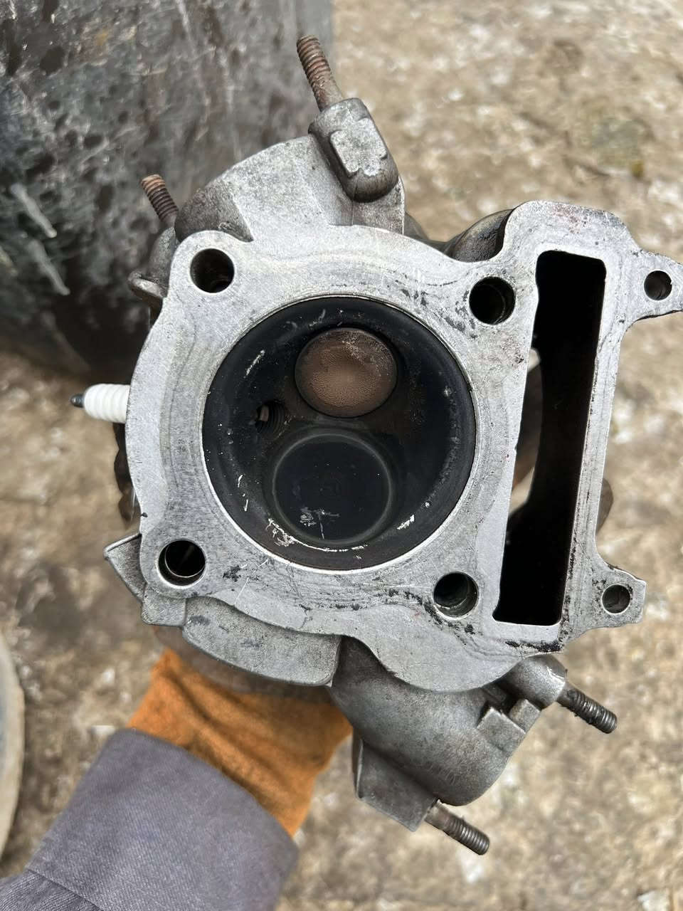 للبيع كور وألفين كبار جديد كلش عل شغل  أو للمراوس بتزويد بفسجي
توصيل موجود كل العرق 
سعر خاص أو تصال 
***********
