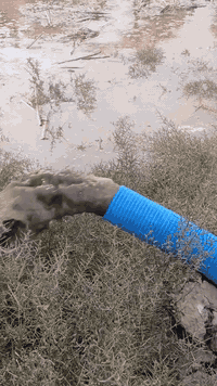 الحفر الابار بعمق 150 متر  الارتوازيه***********واتساب 
*********** واتساب 
 
مستعدون الحفر الابار وتعبرات الشوارع وتجفيف المنهولات نعمل في كافه محافضات العراق دقه في العمل وسرعه في الانجاز ونعمل تجفيف الارض الشركات الاهليه والحكوميه نعمل حفر الابار كاقه الاحجام ونعمل حفر يدوي والي
