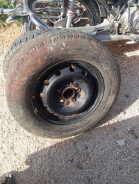 جنوط • بورتر