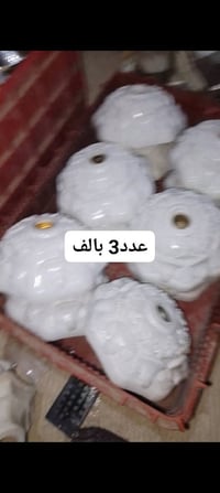 اغراض انشائية • واحد حزيران • كركوك