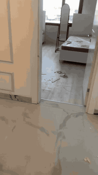 ئافا ديكور ) ئامادينه بو هه ر ديكوراتى ته بيفت هه ر ديزانى هه بيت شيوه كى هندسي باشتر جوانترين شيوه بو داخلي خارجي هه ر كاريكى هه بيت و هه ر جهه كى بيت باشترين شيوه خزمت داينه بو بيتر بيزانينا به يوه ندى في ژمارى بكه ( ***********) دهوك زاخو هه ولير هه ر جهه كى هه بيت#دهوك_ئاکڕێ_زاخو_ئامێدی_بەردەرەش_شێلادزێ#دهوك_ئاکڕێ_زاخو_ئامێدی_بەردەرەش_شێلادزێ #duhok_zaxo_amedi_semel_akre #دهوك_ئاکڕێ_زاخو_ئامێدی_بەردەرەش_شێلادزێ #مودرين
