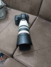 كاميرا D6 • عدسة 100-400 • واسط الصويرة