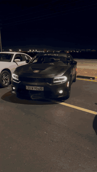 سلام عليكم دوج جارجر بوليسي تو ويل هيمي مديل 23سياره جديده حادثه طخات تبديل بس جاملغ بيه تعديل راس بصيط براس الشاصي جه السايق والبنيد موجود ماله اني حدثته ماشيه 26برمجه الجمشير لاصرف ولا دوانز شرط بانزين  ؏ـﺂډيـﮧَ سياره ما مصبوغه معجنت وغلفت اسود طافي مداور ثاني يوم باسمي ايرباك برده فقط ***********
