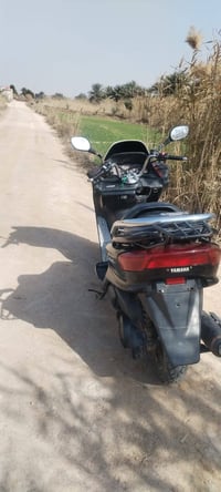 دراجة ماجسته • للبيع