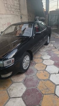 اكرسته • موديل ٩٣ • مصبوغه