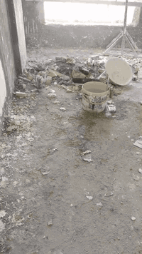 بياض • سقل • متفرغ بصره