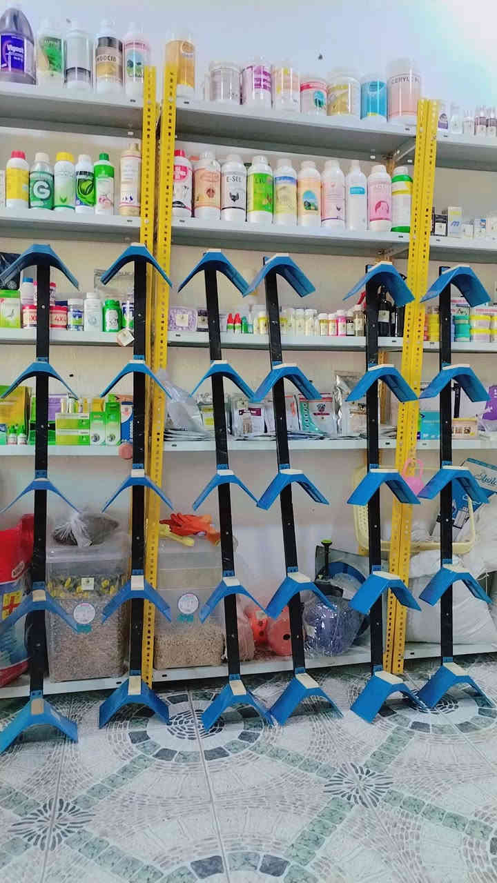 عيادة الرحمه البيطريه
توفر لكم كافة العلاجات البيطريه
المختصة بالحمام والدجاج وطيور الزينه
كذلك نوفر مستلزمات واعلاف الحمام وطيور الزينه
العنوان بابل قضاء الهاشميه حي العسكري مقابل عالم السيراميك
للاستفسار الاتصال على ***********
يوجد توصيل داخل وخارج الهاشميه
@إشارة
