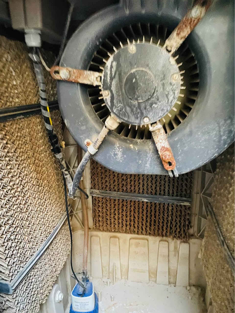 كنفيرة حجم كبير نضيفه و شغالة واتر بم اصلي و دفعها للهوى من ثنين متر الى ثلاث متر مروحتها ثلاث سرعات 

سعرها ٢٠٠ الف و بيها مجال للشراي 

مكاني نجف كوفة 

رقمي 
*********** النجف, العراق
