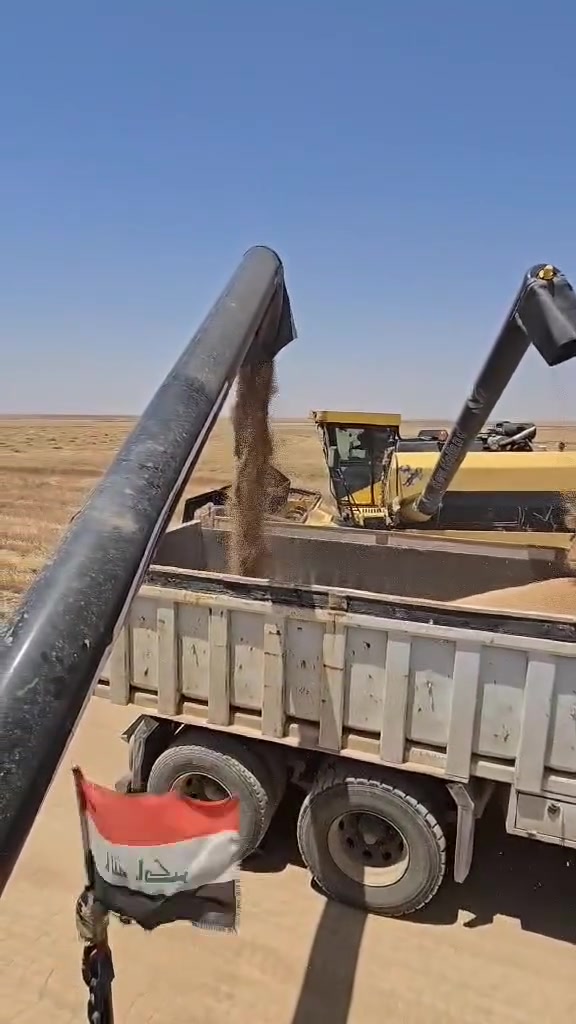 الي يريد حصاد عدنة اربع دراسات تنزيل فول وفلوس نقد السعر 10مرشة 15جوالي  رقم الهاتف *********** والله حي الكرابة
