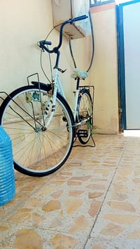 باسكل ياباني • نضيف • فلوجة