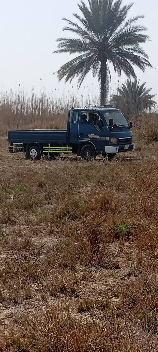 قرده ام عيون للبيع رقم بغداد سياره مكفوله جاهزه على 24حبايه سعر 80وبيه مجال رقم *********** يوجد واتساب على نفس رقم
