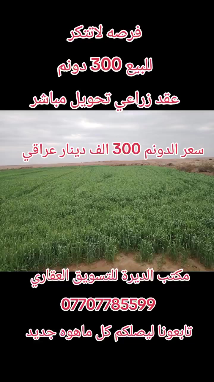 #مكتب #تسويق #الكتروني #تابعونا #ليصلكم #كل #ماهوه #جديد 
لمعرفه باقي التفاصيل اتصال على الرقم التالي ***********
