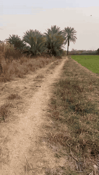 ياالله
للبيع ٧٠٠ متر في بغداد منطقه الراشديه

ترهم ستثمار وه مزرعه متنفس الك

كل خدمات بيه ماء اساله وماء روئي وكهرباء ويوجد فيه نخيل

حلوه سعر ٧٠٠ مناسب 30مليوان بيه مجال الاستفسار تصال على رقم ***********
