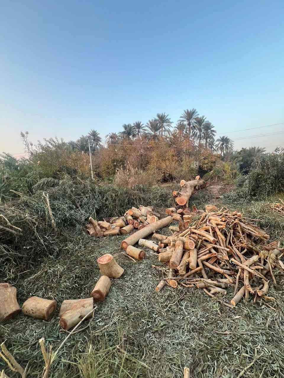 حطب للبيع ***********
