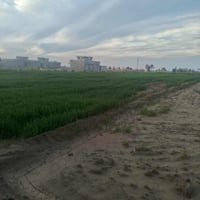 ورحمه الله وبركاته ارض 11 دونم للبيع طابو زراعي سند 25 الرمادي جزيره ا...