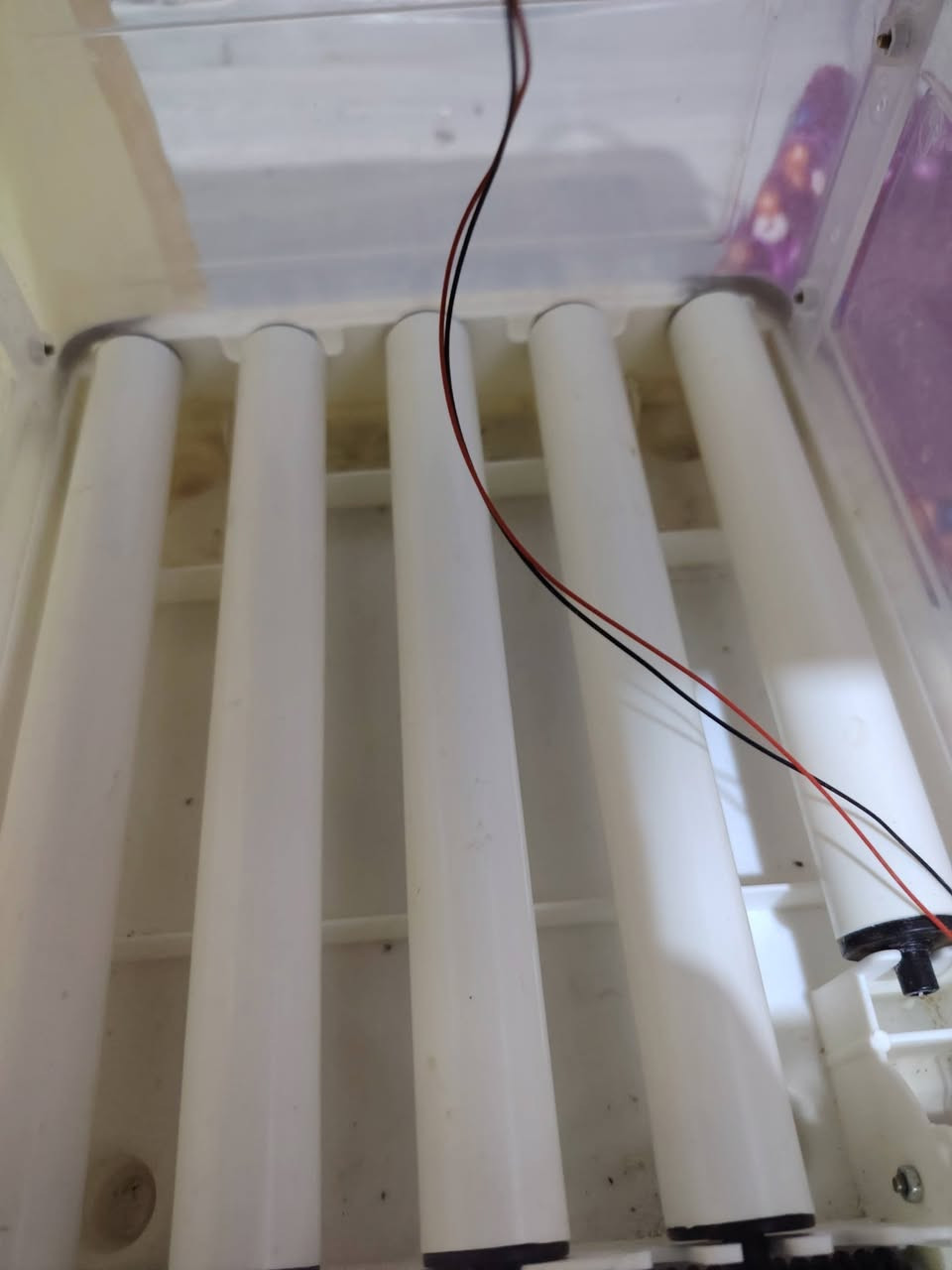 فقاسه سعه 16بيضه سعره 55بيه مجال غرض البيع ما فارق لن طالب مدرسه بيه مجال شي بسيط
*********** واتساب
