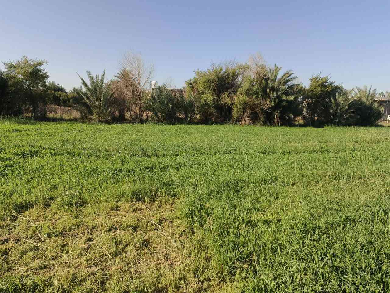 السلام عليكم أرض زراعية دونم منطقة الداحره عقد 117مع بيت 225متر ماباقيله شي قليل ويكمل حصه ماي وطريق إله والبيت مرقم من الدولة السعر ع الخاص أو إتصال ***********
