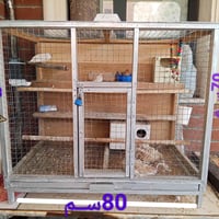 قفص • کەلار • حسب الصورة