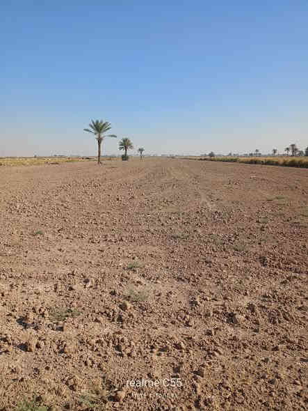 أرض زراعيه للبيع١٤ دونم قانون ١١٧توجود خدمات تبليط ومدرسه ومي أساله و سقي كهرباء و مولد سحب مع دار سكن للستفسار *********** /***********
