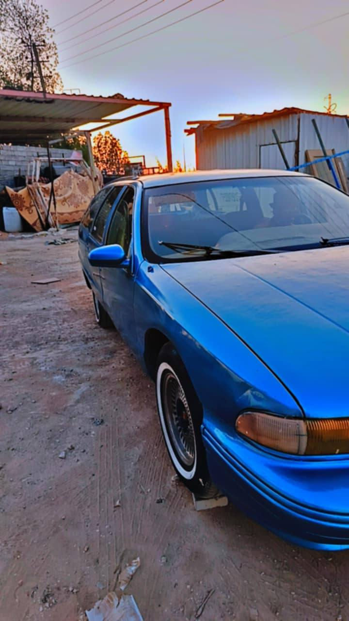 دولفين البيع اومروس السعر25 اشعندك امروس خابرني ***********مكينه كريرحويه
