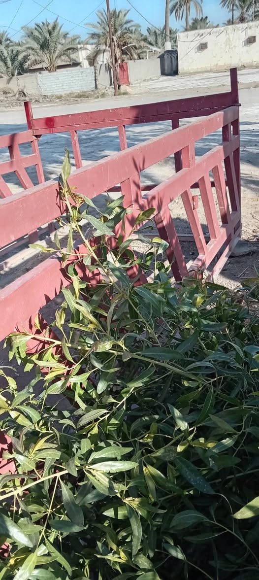 السلام عليكم محجر للبيع مال نثيه حلو ونضيف رقم الاتصال *********** بي واتساب
