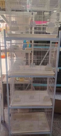 جديد • سعر مستخدم • خانة أم الطير