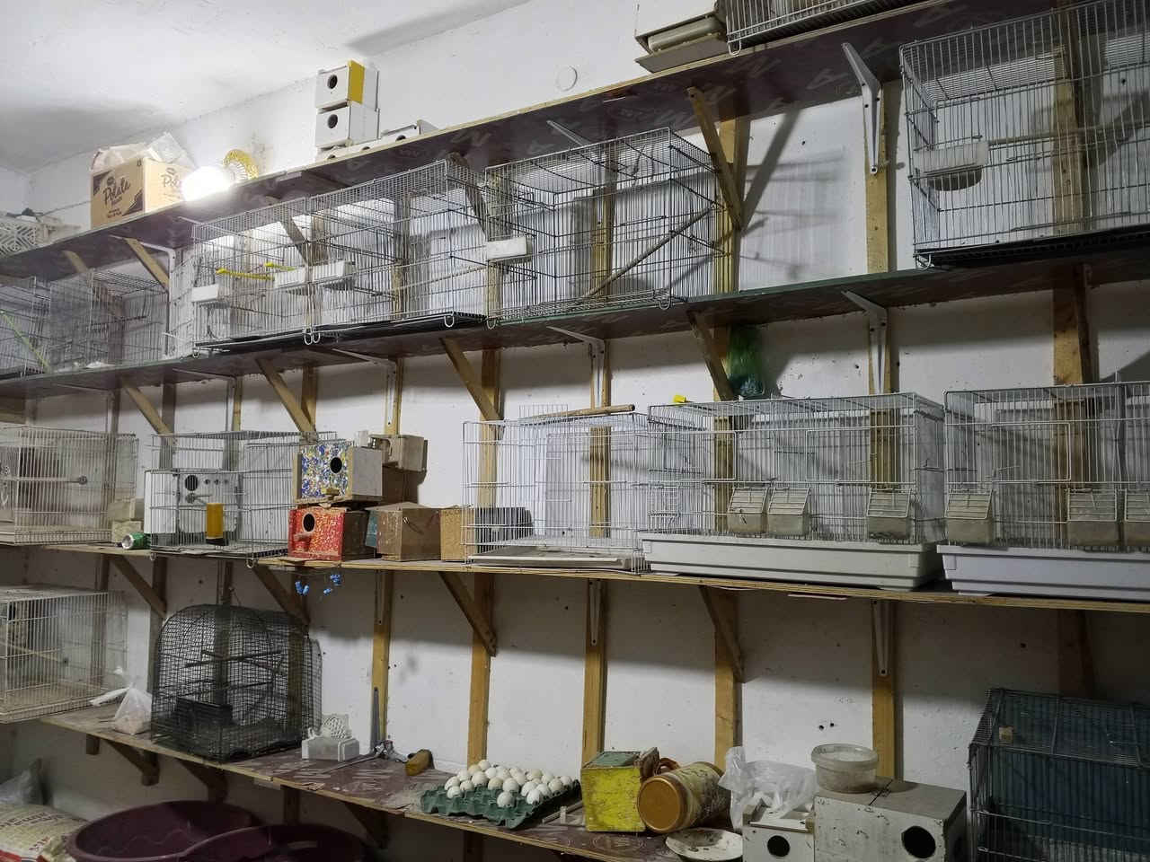 رفوف للبيع بلويد العنوان الدور مقابيل متنزة الدفاع المدني ***********
