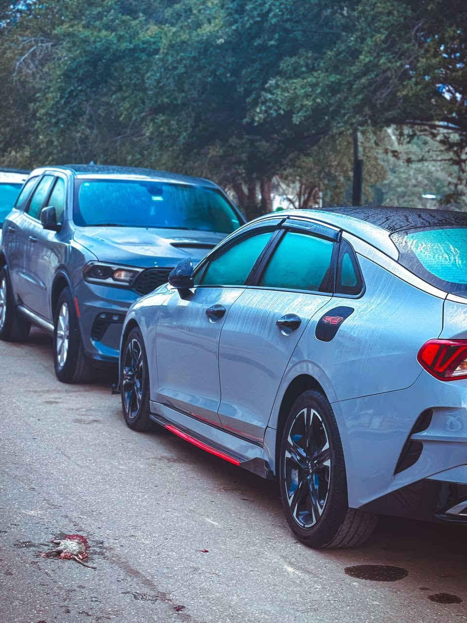 K5 
موديل ٢١ بدون ايرباك ماشيه ٤٩ ميل تبديل قطعه وحده فقط 
اريد مراوس بRt موديل ٢١ او ٢٢


**إذا كنت صاحب هذا الإعلان وتريد حذفه لأي سبب، رجاءا أرسل رسالة إلى الدعم الفني**