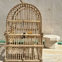 قفص • بلا عيب • کەلار