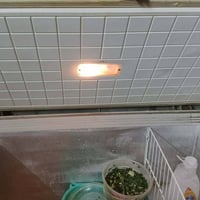 مجمده مناسبه للبيع شرط شغاله 150بيه مجال حك جيه 07814669445