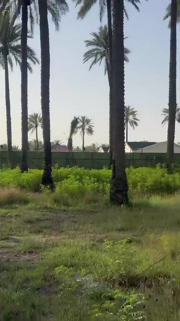 السلام عليكم 
دونم ثاني قطعه من السده الوجه50ونزال50
طابوسند 25مجاور المزارع
بغداد المدائن منطقة الجعاره
للاستفسار***********
