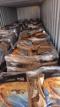 إلى الإخوة المزارعين الكرام، تعلن شركة السنابل الذهبية.  نود إعلام الإ...