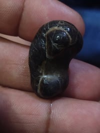 سليماني • اسود • ابو العينين