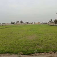 الدغاره • 5 دونم • ع الشط