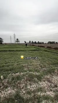 أربع 4️⃣ دوانم. #للبيع. طابو زرعي سند 25✅   سعر دونم لواحد 120مليون.  ...