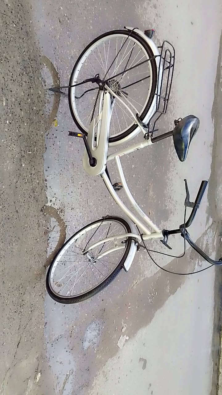 سلام عليكم بايسكل للبيع حجم ٢٦ نضيف ١٠٠/١٠٠ المكان موصل حي سومر السعر ٩٥ بي مجال للطيبين متواجد على الصفحه#


**إذا كنت صاحب هذا الإعلان وتريد حذفه لأي سبب، رجاءا أرسل رسالة إلى الدعم الفني**